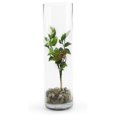 thumbnail image 4 of TiaGOC Quality Thick Weighted Tall Clear Cylinder Glass Vases, 4" W x 14" H, Flower Arrangement Floating Candle Holders Wedding Centerpieces Floral Container Home Decor, Bulk Wholesale, 12 Pcs, 4 of 9