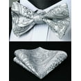 HISDERN Bow Ties for Men Pretied Paisley Bow Ties Pocket Square Set Men's Bowtie Wedding Party
