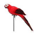 thumbnail image 2 of Cheer.US 25/35cm Parrot, Realistic Parrot Party Decoration with Lifelike Feathers, Artificial Parrot Bird for Tropical Party and Home Décor, Feathered Parrot on Shoulder Prop, 2 of 7
