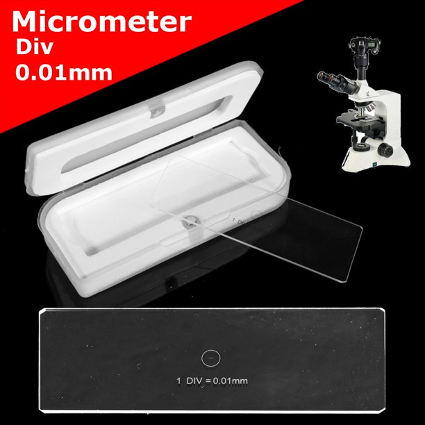 Diapositive d'Étalonnage de Micromètre de Mesure d'Objectif de Microscope Div