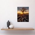 thumbnail image 2 of Sunset on Ancient Tree Atmospheric Photograph Large Roots Autumn Unframed Wall Art Print Poster Home Decor Premium, 2 of 3