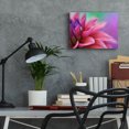 thumbnail image 6 of Epic Art 'Dahlia Petals Pink Purple' by Cora Niele, Acrylic Glass Wall Art, 16"x12", 6 of 8