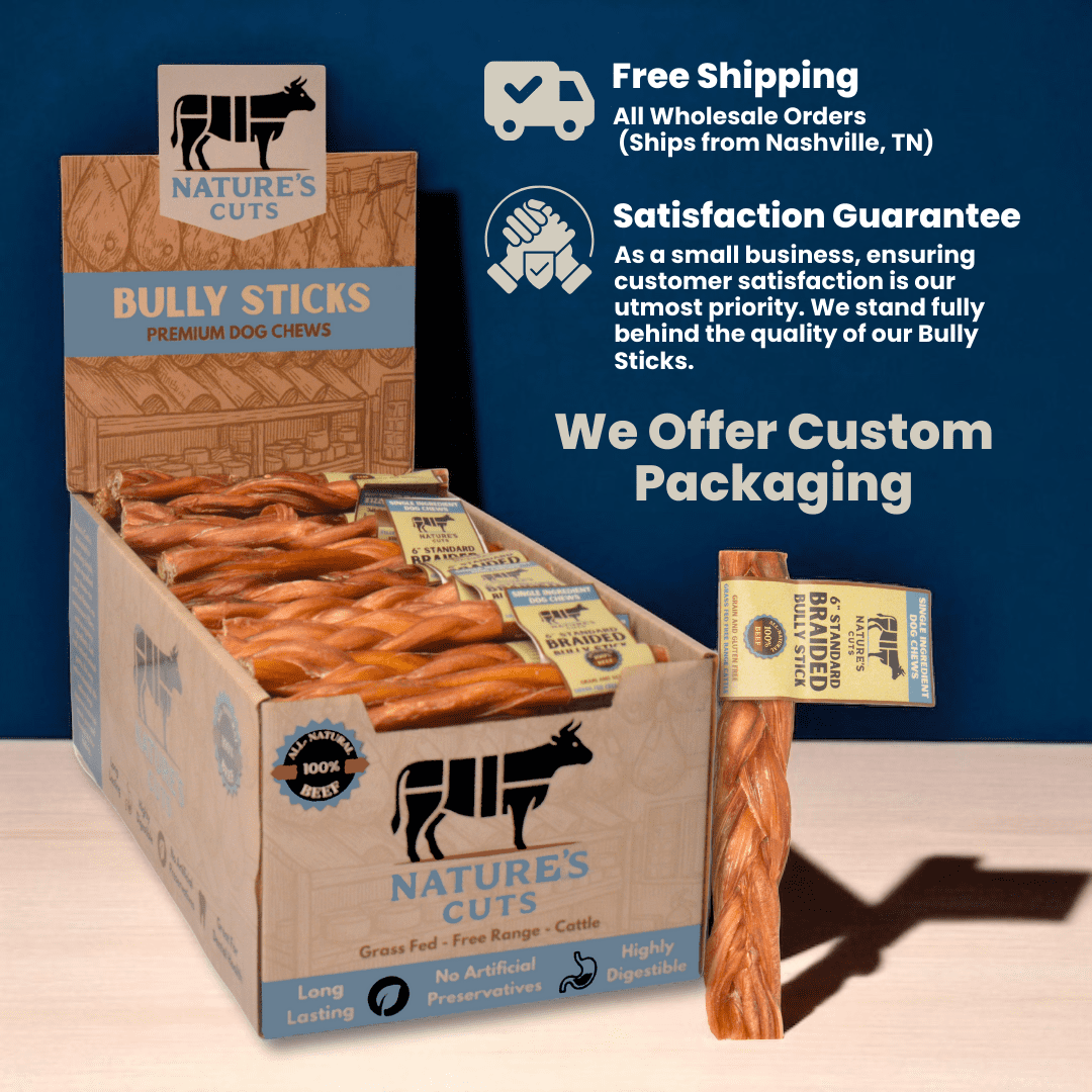 6" Braided Standard Bully Sticks Display Box (60 ct) with Individual UPC Tags - 100% All Natural Beef