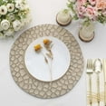 thumbnail image 2 of Efavormart 6 Pack | 13" Taupe Plastic Hammered Rim Dinner Charger Plates, Decorative Disposable Irregular Round Serving Plates, 2 of 11