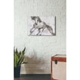 thumbnail image 3 of Epic Graffiti 'Alydar Horse' by Irena Orlov, Canvas Wall Art, 26"x18", 3 of 3