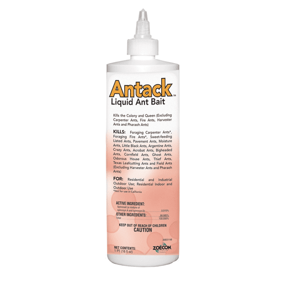 Antack Liquid Ant Bait - Control of Numerous Ant Species - 16 fl oz Bottle by Zoecon