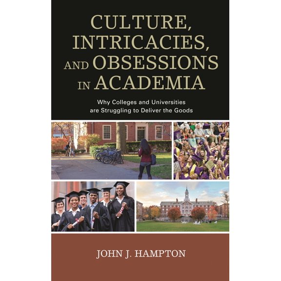 Culture, Intricacies, and Obsessions in Academia : Why Colleges and Universities are Struggling to Deliver the Goods (Hardcover)