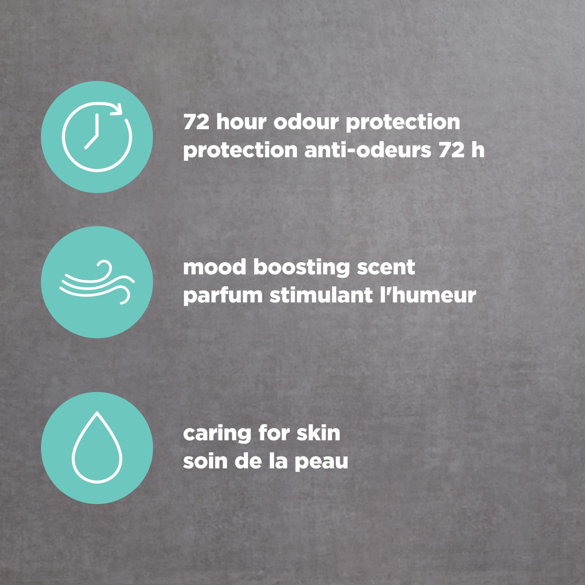 Dove Men+Care Déodorant en bâton Coast Eucalyptus + Bouleau, 85 g