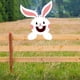 thumbnail image 4 of Figuritas de jardín con diseño de conejitos para decoración al aire Wdftyju libre cartel artístico de valla de conejo de pascua mirilla para jardín, 4 of 8