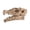 Style:3#, variant on Plastic Miniature Skull Ornaments DIY Landscape Fish Artificial Aquarium Skull Miniature Skull for Reptiles Play