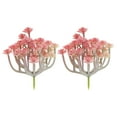 thumbnail image 1 of Plantas suculentas artificiales mini Uxcell sin maceta, suculentas falsas, suculentas texturizadas realistas, rojas, paquete de 2, 1 of 5