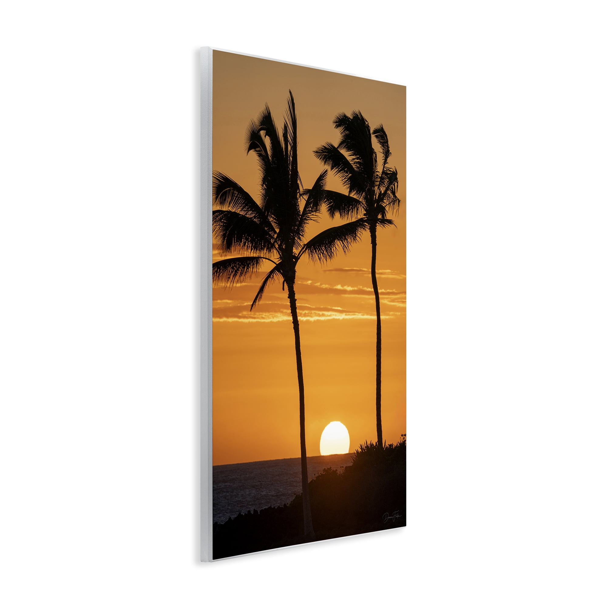Stupell Industries Sunset Through Palm Trees Wall Plaque Art, design by Dennis Frates
