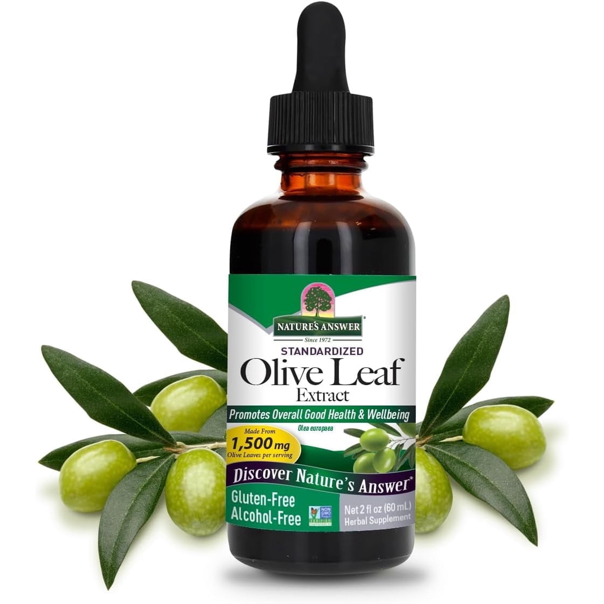 Nature’s Answer Olive Leaf Liquid Herbal Extract, Alcohol-Free, Non-GMO, Vegan, Gluten Free, 2 fl oz