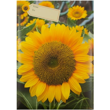Jam Paper Decorative Bubble Mailers Small 6 X 10 Sunflower