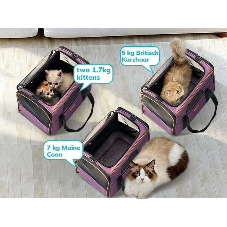 Cat Carrier Pet Large Cat Carrier for Small Medium Dogs Cats under 25lbs  with a Bowl, Mat, TSA Airline Approved 