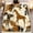 40x30inch(102cmx76cm), variant on 1pc Giraffe & Print Flannel Blanket - African Wildlife Theme Bedspread with Beige/Brown/Black/White/Golden Tones, Soft Warm Bedding for ' Rooms,, Camping, Sofa - Lightweight All-Season Cozy Animal Be