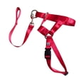 thumbnail image 2 of SAYOO , cuerda para la boca para perros, correa Halter suave, juego de tracción para la boca para mascotas, Collar ajustable para la cabeza, accesorios para mascotas SAYOO  Moda，ocio, 2 of 4