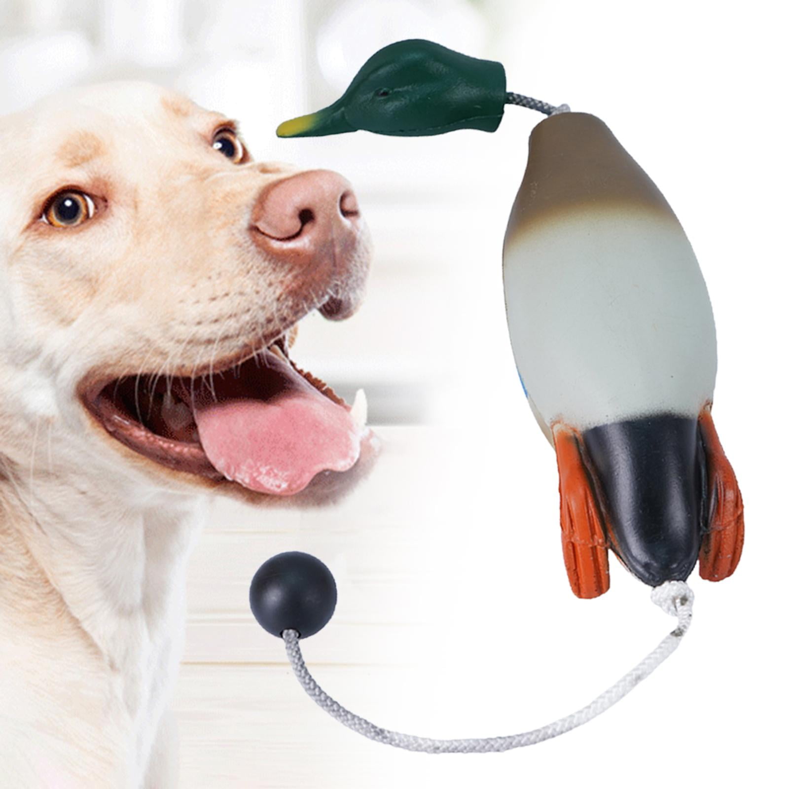 Bvdfgk Dog Chew Toy Mallard Duck Relaxing Durable Biting Toys Molar Biting Toy Exercise
