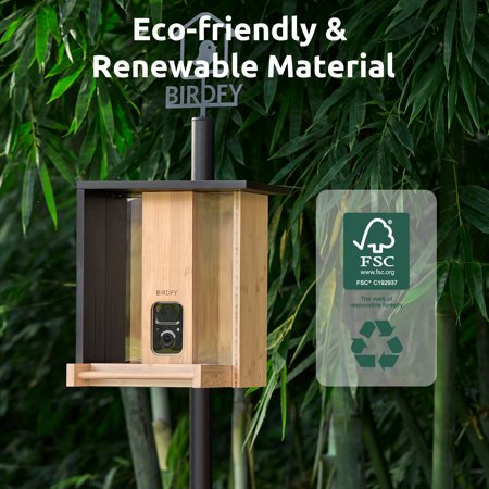 BIRDFY - Smart Wild Bird Feeder Bamboo w/HD Camera, Solar Power, and AI Enabled Bird Recognition - Natural Bamboo & Black