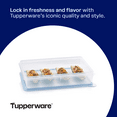 thumbnail image 4 of Tupperware Snack-Store Plastic Large Food Storage Container with Lid, 4 of 5