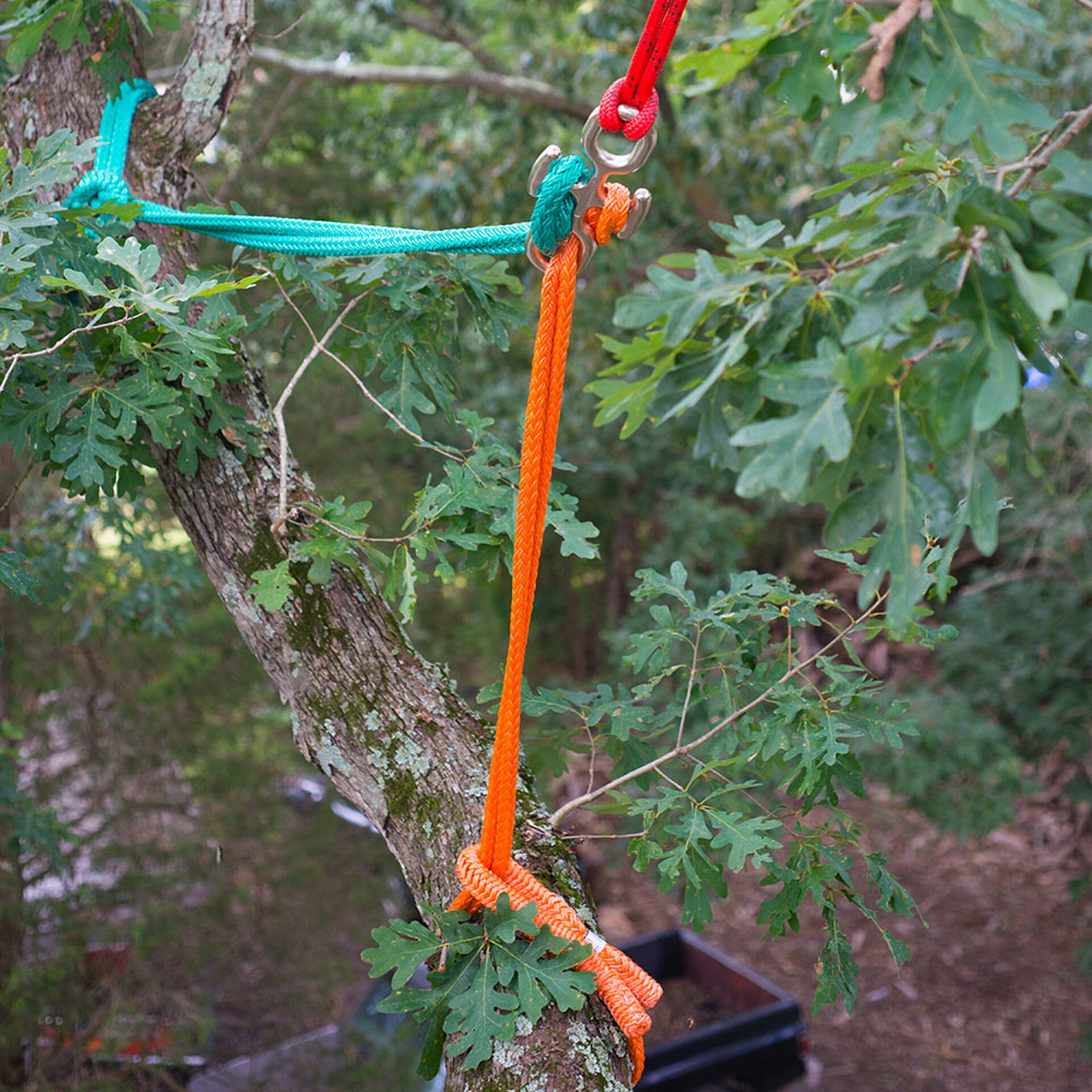 Notch Backbone Knotless Rigging Connector - 46,000 Lb Strength For Tree Work & Climbing