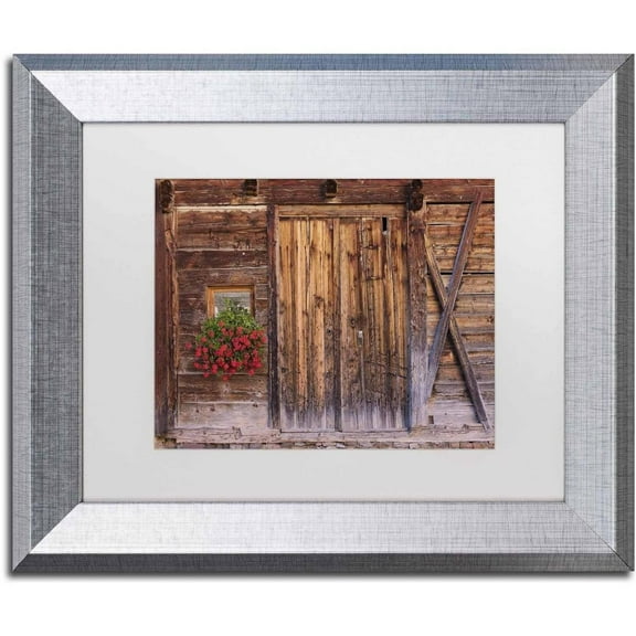 Trademark Fine Art 'Rustic Charm' Canvas Art by Michael Blanchette Photography, White Matte, Silver Frame