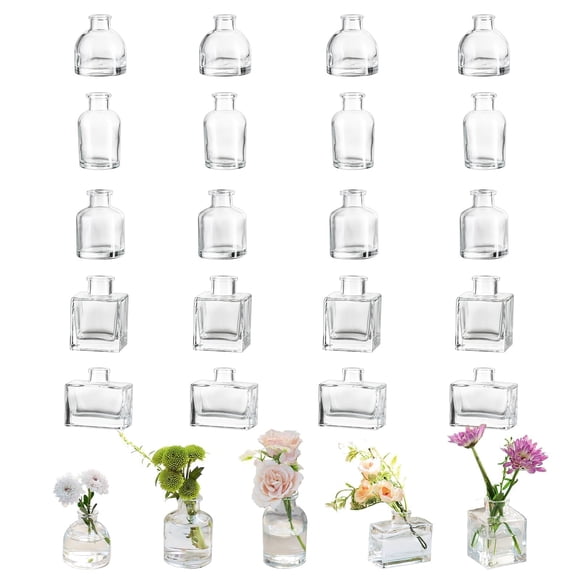 Jarrón de flores Glasseam Mini Bud de vidrio transparente, juego de 20