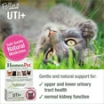 thumbnail image 2 of HomeoPet Feline UTI Plus Urinary Tract Health Supplement Solution for Cats, 15-Milliliter Bottle, 2 of 8