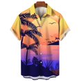 thumbnail image 3 of Camisas hawaianas de verano para hombre, camisas con estampado 3D para vacaciones en la playa, blusas casuales de manga corta para hombre, 3 of 5
