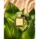 thumbnail image 3 of Perfume Roja Parfums Isola Verde Eau de Parfum para mujer, 50 ml, 3 of 4
