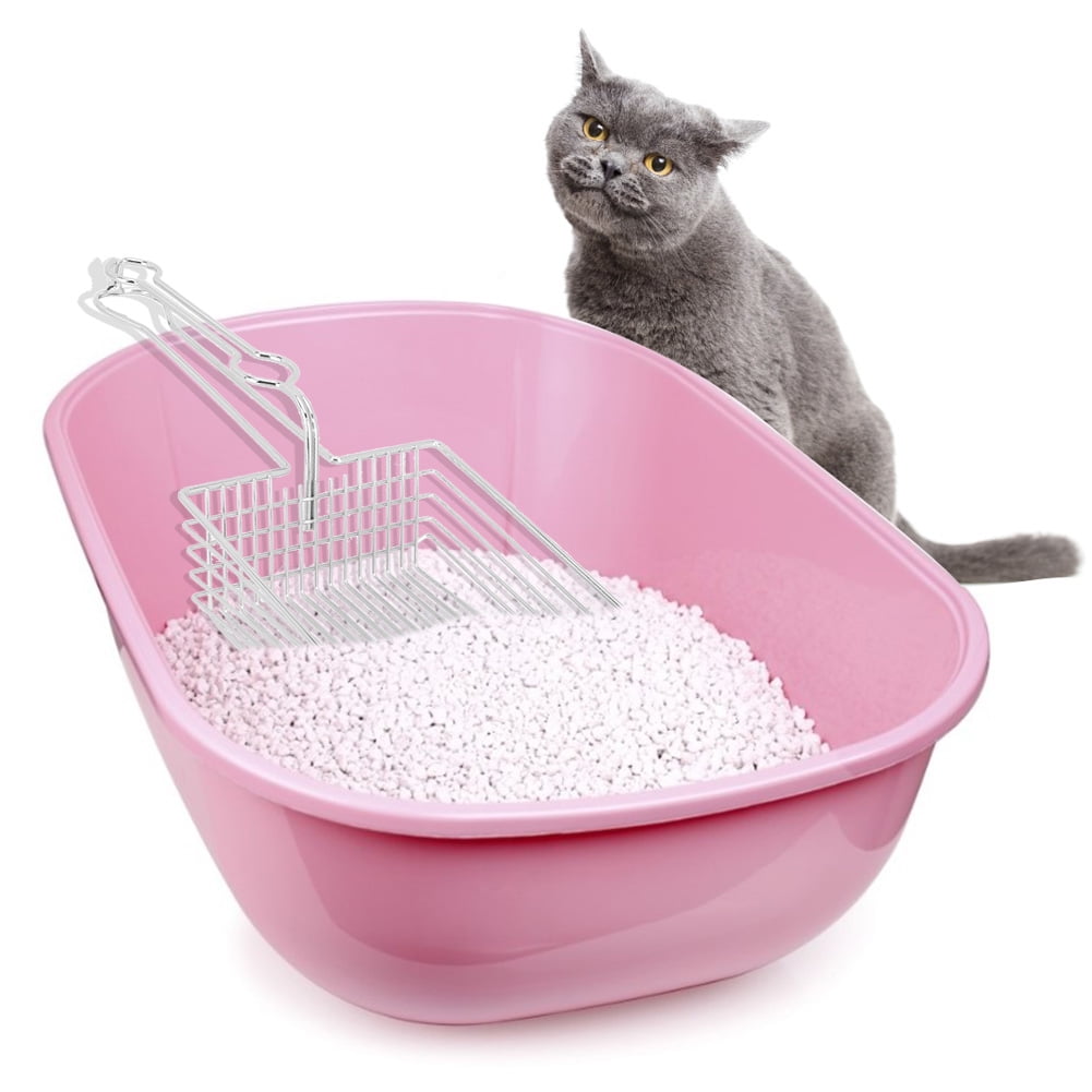 Dog litter sand hotsell
