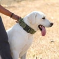 thumbnail image 7 of WAAYEEPAL Heavy Duty Nylon Dog Collar, Adjustable Training Collar with Control Handle, Sturdy Metal Buckle and AirTag Holder for Medium and Large Dogs (XL, Green), 7 of 7