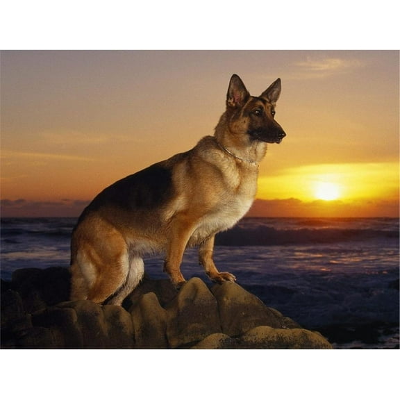 5D DIY Diamond Painting Set "German Shepherd, Dog" Round Diamond Art Crafts for Adults, Suitable for Wall Decoration, Bedroom and Home Decoration