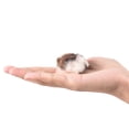 thumbnail image 3 of Microphone Windscreen Furry Windshield Mic Muff for Clip-on Lavalier Microphone, 3 of 5