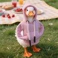 thumbnail image 4 of BotaniNest Desk Goose Outfits Hoodies Tabletop Goose Accessory Mini Porch Goose Costume, 4 of 4