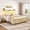 Gold, variant on Queen Metal Bed Frame with LED Light,Headboard & Footboard,Under Bed Storage,Noise-Free Design,Easy Assembly,No Box Spring Needed, Black