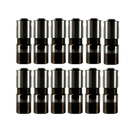 DNJ LFK121107 Valve Lifter Fits Cars & Trucks 88-10 Chrysler Dodge Eagle Jeep 3.8L OHV 12V