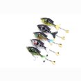 thumbnail image 3 of LIXADA 3.7in / 0.60oz Topwater Wobbler Bait Pez dorado realista, 3 of 7