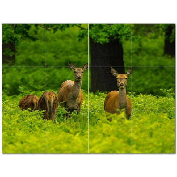 Deer Ceramic Tile Mural Kitchen Backsplash Bathroom Shower 402759-L43