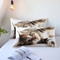 thumbnail image 4 of Gato Twin Funda Nórdica Kawaii Gatos Funda de Edredón Mascotas Juego de Cama Cats Lover, 4 of 6