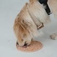 thumbnail image 3 of Dexypaws: Enrichment Lick Mat: Blush Pink Heart - Grooved Silicone Dog Feeding Dish, Spread Food Or Treats Onto The Mat, Pet Soothing, Suction Back, 3 of 7
