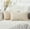 Beige, variant on Pack of 2 Super Soft Cozy Decorative Throw Pillow Covers Fuzzy Plush Faux Fur Luxury Cushion Cover Pillowcase for Sofa Couch Bed Livingroom 18x18 Inch White