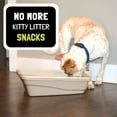 Door Buddy Door Latch. Keep Dog Out of Litter Box without Pet Gate with
