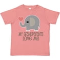 thumbnail image 3 of Inktastic My Grandparents Love Me Elephant Boys or Girls Toddler T-Shirt, 3 of 5