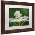 thumbnail image 2 of Trademark Fine Art "Nature is Amazing" Canvas Art by Kurt Shaffer, White Matte, Wood Frame, 2 of 4