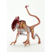 Aliens - 7" Scale Action Figure - Ultimate Kenner Tribute Panther Alien