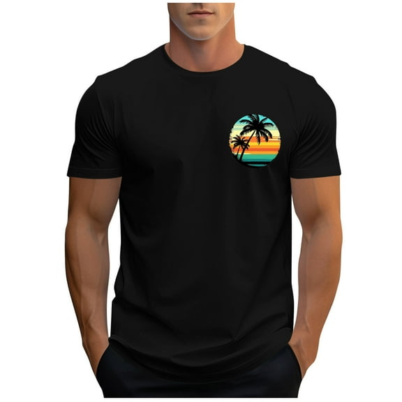 Fmbrln Graphic Tees for Men Summer Casual Crew Neck Short Sleeve Sports T-shirts Hawaiian Beach Tops