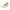 White, variant on Busydd Girls Shoes 5-18 Years Leather Mary Janes Dress Shoes Strappy Party Prom Dance Shoe High Heels for Girls Toddler Little Teen Girls Princess Shoes