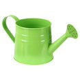 thumbnail image 2 of Xloro Metal Watering Can with Long Spout and Handle Durable Sprinkling Can for Indoor Outdoor Plants Garden Flower Lawn Watering Tool Decor (1Pc 9.6"x4.5"), 2 of 7