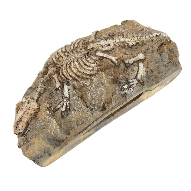Aquarium Dinosaur Fossil Decoration - Resin Hideout, 6.5x3.1 Inch, For Fish Tanks & Reptiles